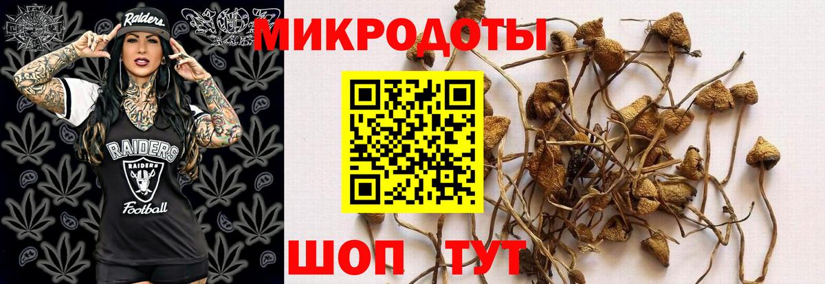 Галлюциногенные грибы ЛСД  Вход с VPN  Псилоцибиновые грибы Psilocybine cubensis  Миллерово 