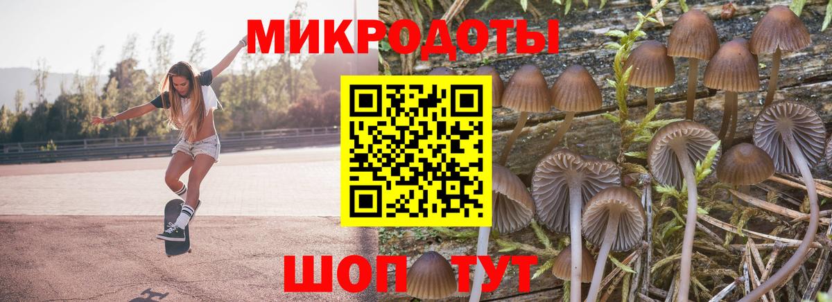 Галлюциногенные грибы мицелий Миллерово
