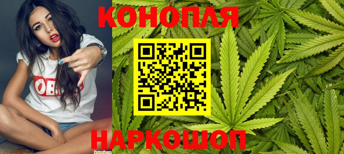 МАРИХУАНА план Миллерово